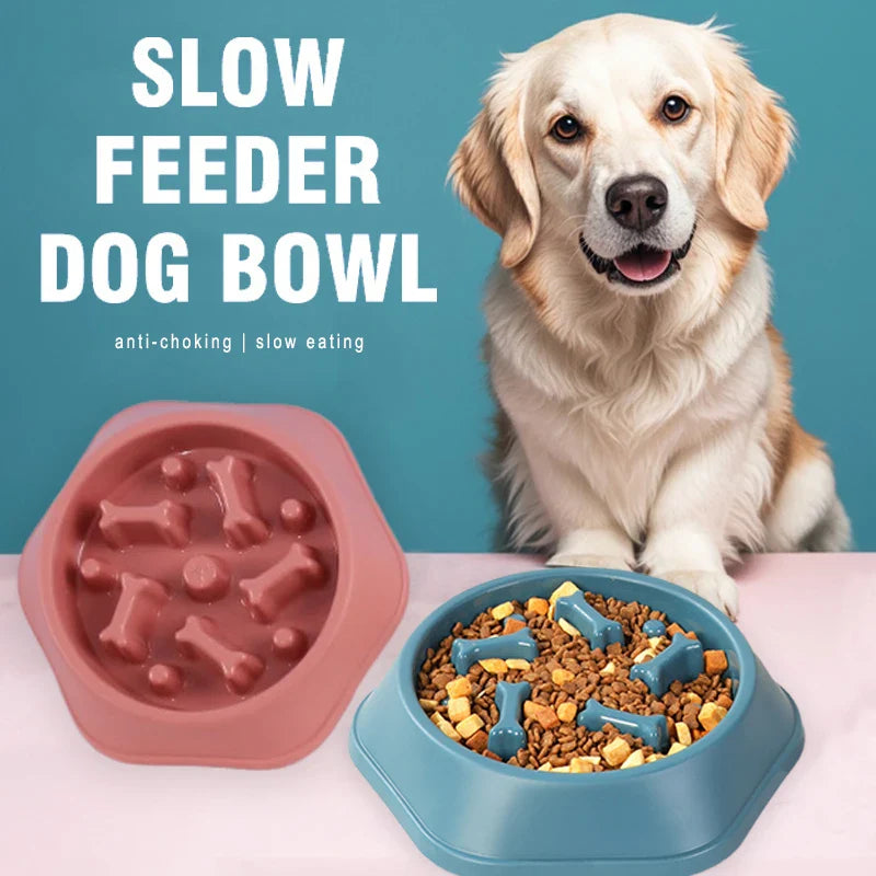 Slow Feeder Dog Bowl | Anti-Choking Puzzle Feeder for Small and Medium Dogs