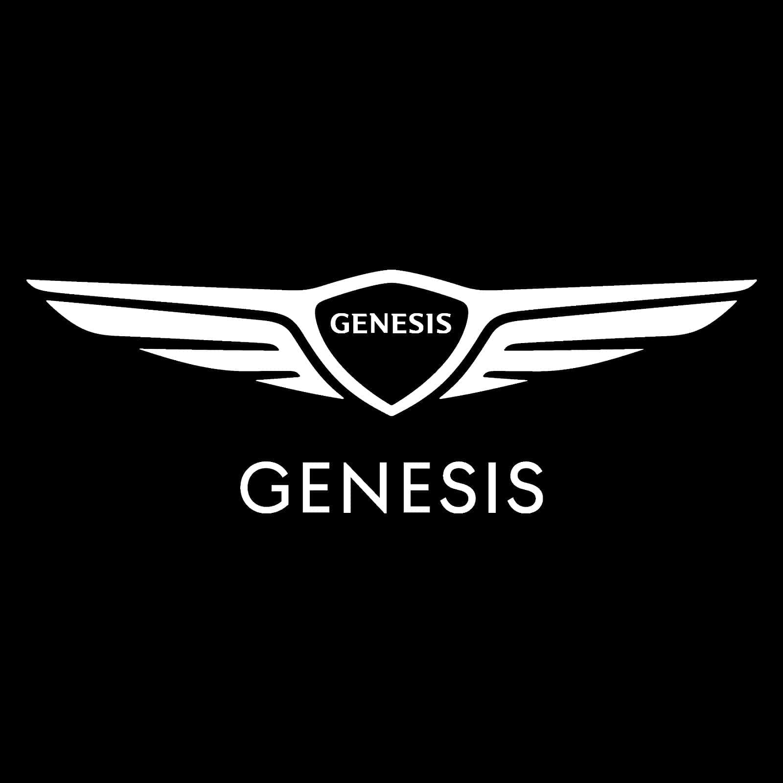 Genesis GV80 Door Stick On Puddle Lights Various Designs 2021-2026